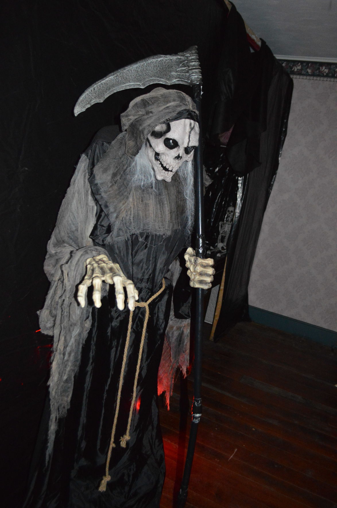 BHC 10032019 glade7 SKELETON by joe